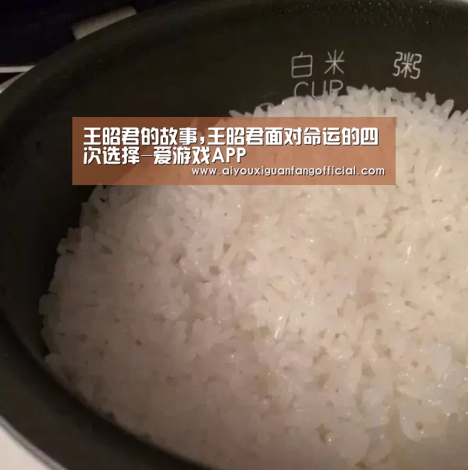 王昭君的故事,王昭君面对命运的四次选择-爱游戏APP(图2) 爱游戏官方
