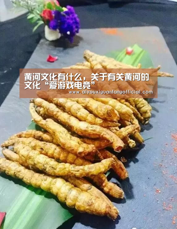 爱游戏电竞