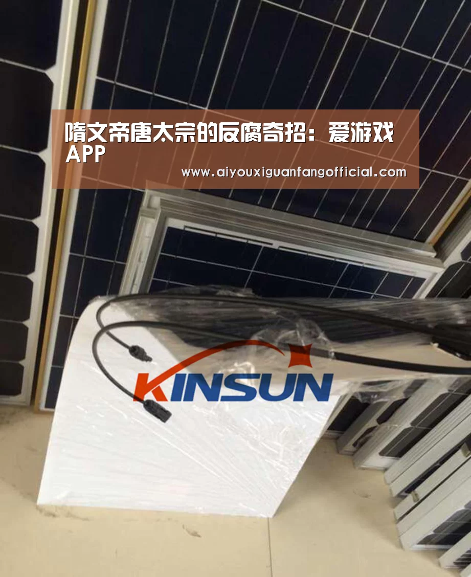 隋文帝唐太宗的反腐奇招:爱游戏APP(图3) 爱游戏下载